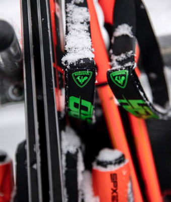 Ski Poles